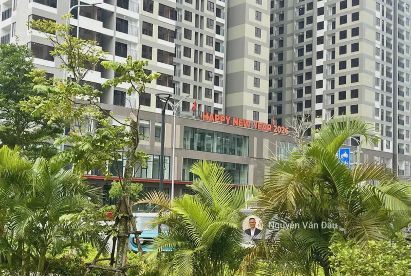 FPT Plaza 2-Bedroom 61m² for rent in Hoa Hai, Da Nang — kitchen and dining